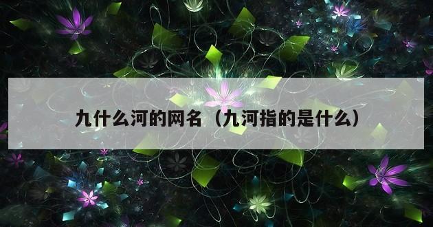 九什么河的网名（九河指的是什么）