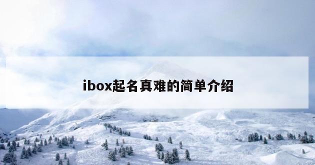 ibox起名真难的简单介绍