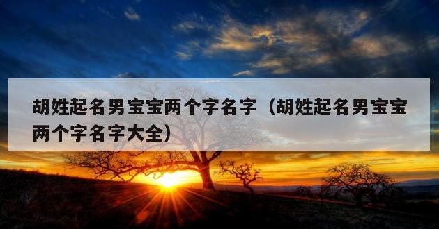 胡姓起名男宝宝两个字名字（胡姓起名男宝宝两个字名字大全）