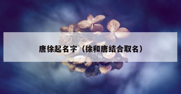 唐徐起名字（徐和唐结合取名）