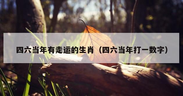 四六当年有走运的生肖（四六当年打一数字）