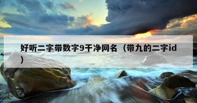 好听二字带数字9干净网名（带九的二字id）