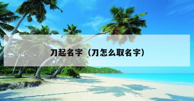 刀起名字（刀怎么取名字）