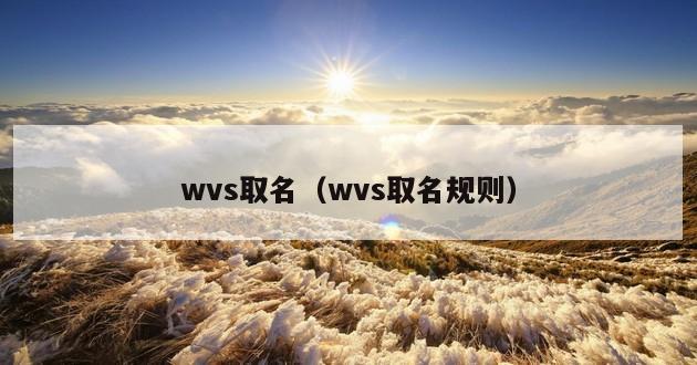 wvs取名（wvs取名规则）