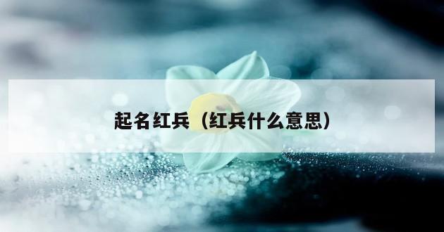 起名红兵（红兵什么意思）