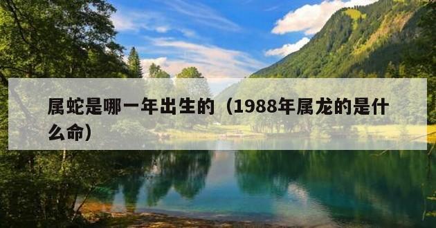 属蛇是哪一年出生的（1988年属龙的是什么命）