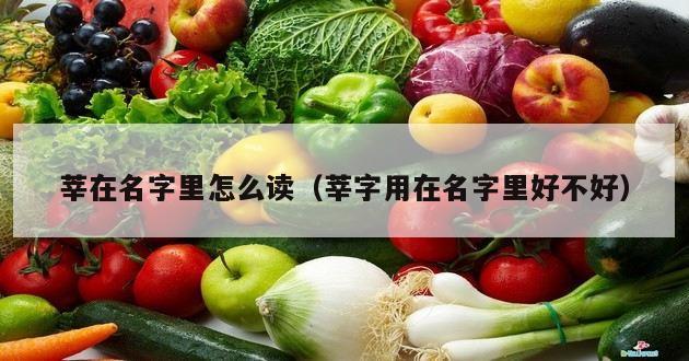 莘在名字里怎么读（莘字用在名字里好不好）