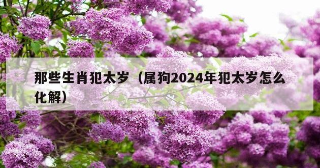 那些生肖犯太岁（属狗2024年犯太岁怎么化解）