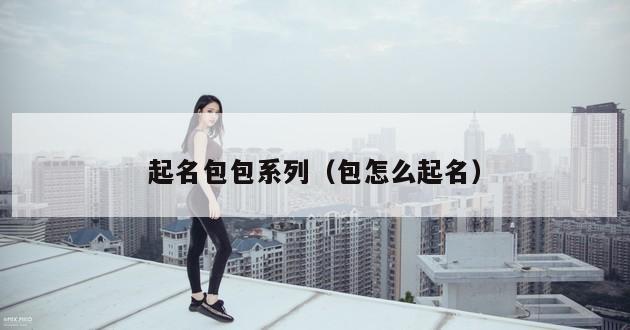 起名包包系列（包怎么起名）