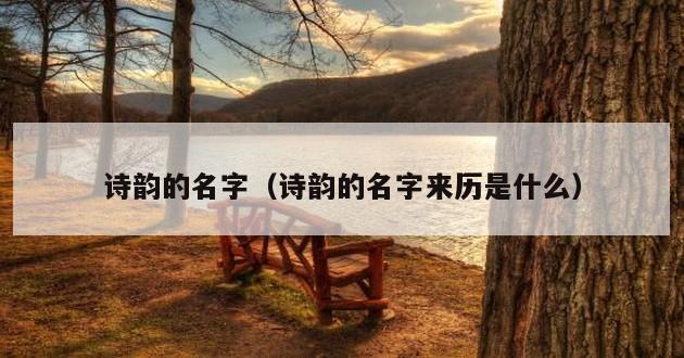 诗韵的名字（诗韵的名字来历是什么）