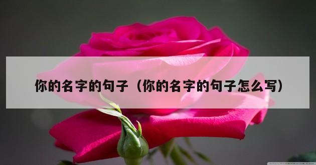 你的名字的句子（你的名字的句子怎么写）