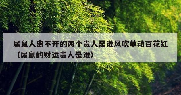 属鼠人离不开的两个贵人是谁风吹草动百花红（属鼠的财运贵人是谁）