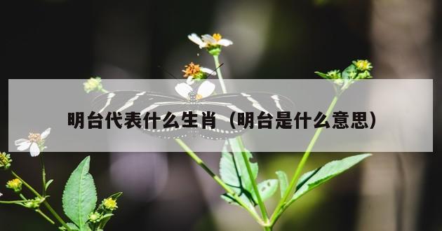 明台代表什么生肖（明台是什么意思）