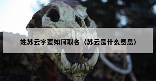 姓苏云字辈如何取名（苏云是什么意思）