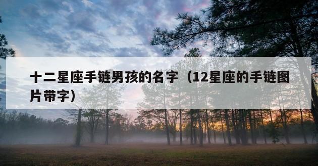 十二星座手链男孩的名字（12星座的手链图片带字）