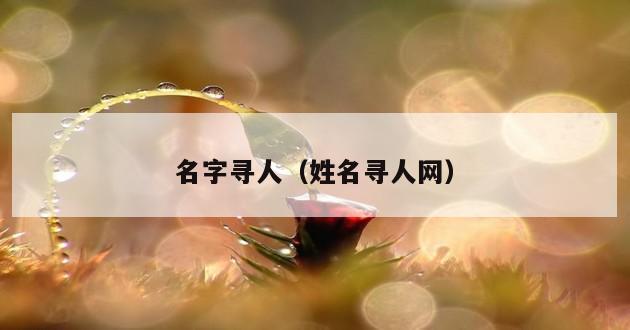 名字寻人（姓名寻人网）