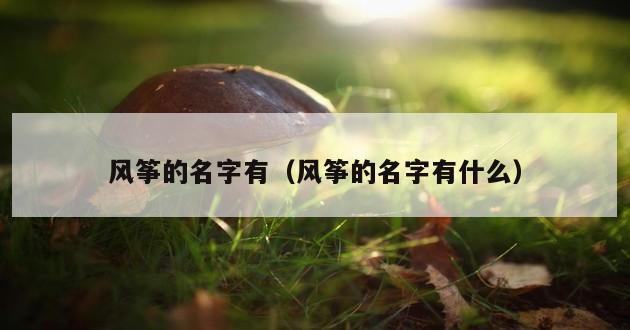 风筝的名字有（风筝的名字有什么）