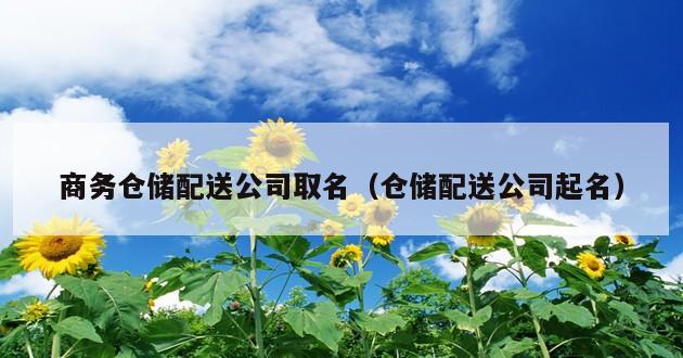 商务仓储配送公司取名（仓储配送公司起名）