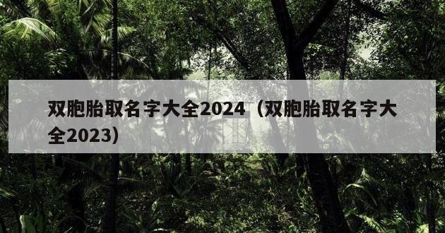 双胞胎取名字大全2024（双胞胎取名字大全2023）