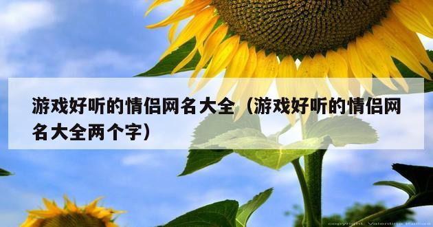 游戏好听的情侣网名大全（游戏好听的情侣网名大全两个字）