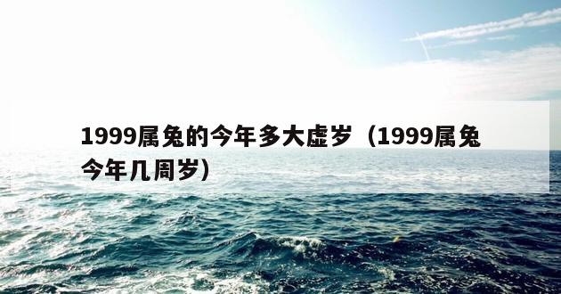 1999属兔的今年多大虚岁（1999属兔今年几周岁）