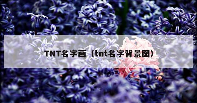 TNT名字画（tnt名字背景图）