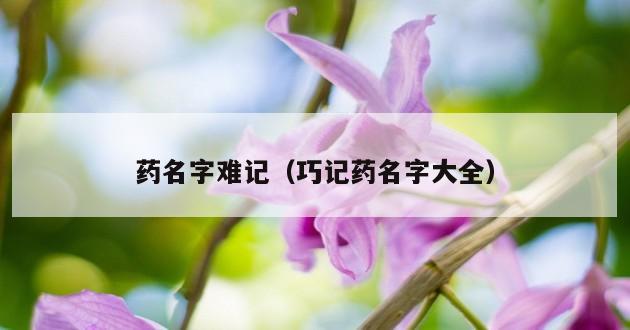 药名字难记（巧记药名字大全）