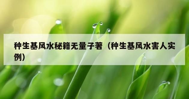 种生基风水秘籍无量子著（种生基风水害人实例）