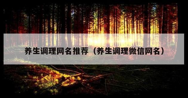 养生调理网名推荐（养生调理微信网名）