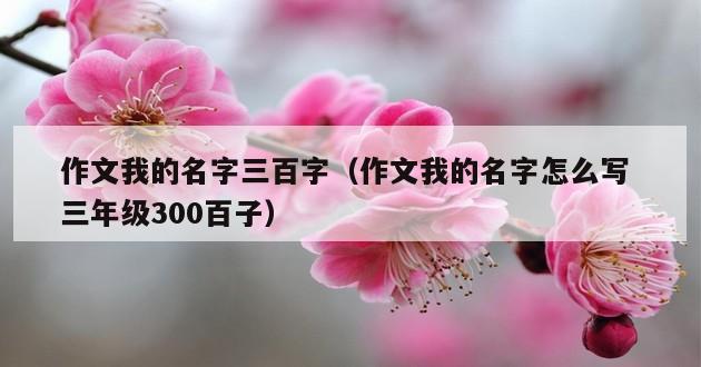 作文我的名字三百字（作文我的名字怎么写 三年级300百子）