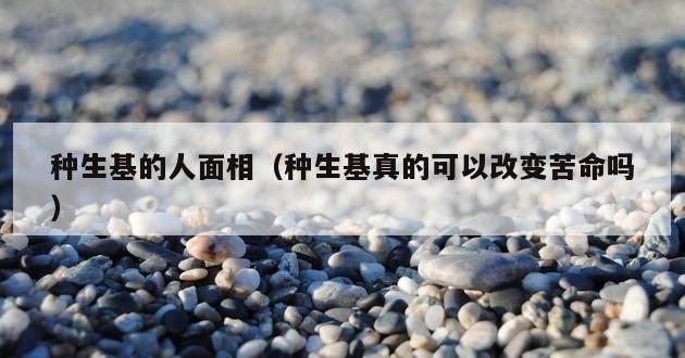 种生基的人面相（种生基真的可以改变苦命吗）