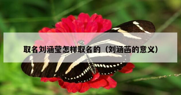 取名刘涵莹怎样取名的（刘涵菡的意义）