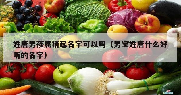 姓唐男孩属猪起名字可以吗（男宝姓唐什么好听的名字）