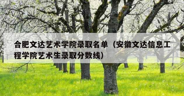 合肥文达艺术学院录取名单（安徽文达信息工程学院艺术生录取分数线）