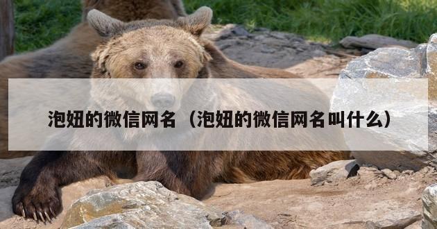 泡妞的微信网名（泡妞的微信网名叫什么）