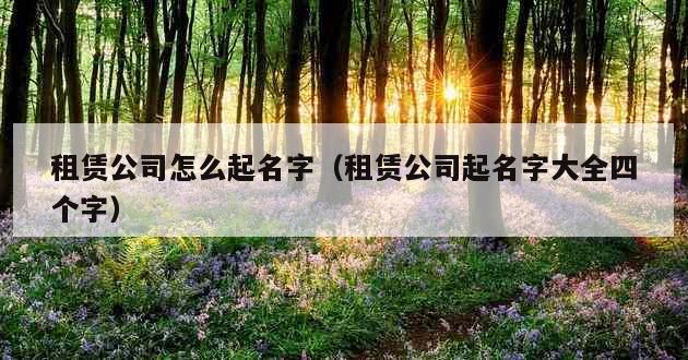 租赁公司怎么起名字（租赁公司起名字大全四个字）