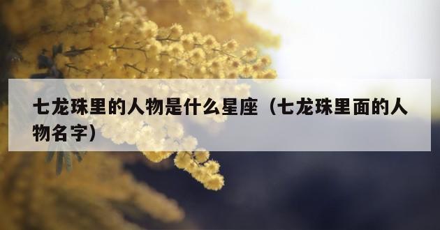 七龙珠里的人物是什么星座（七龙珠里面的人物名字）