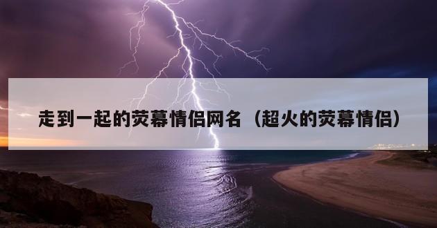 走到一起的荧幕情侣网名（超火的荧幕情侣）