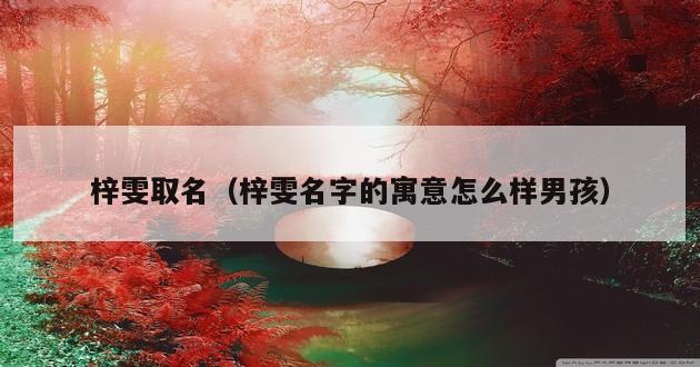 梓雯取名（梓雯名字的寓意怎么样男孩）