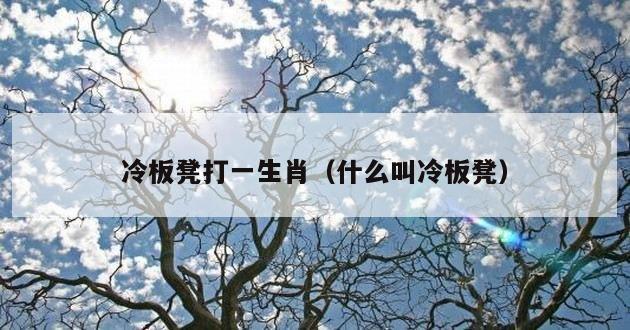 冷板凳打一生肖（什么叫冷板凳）