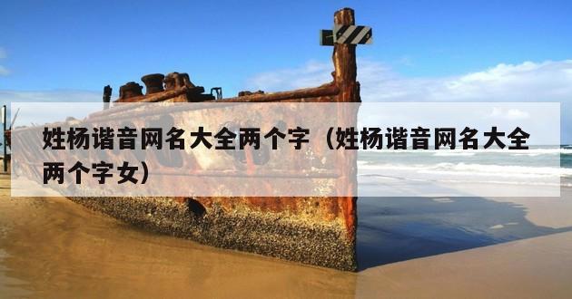 姓杨谐音网名大全两个字（姓杨谐音网名大全两个字女）