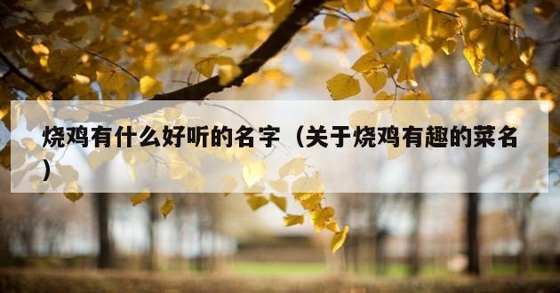 烧鸡有什么好听的名字（关于烧鸡有趣的菜名）