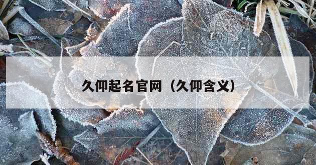 久仰起名官网（久仰含义）