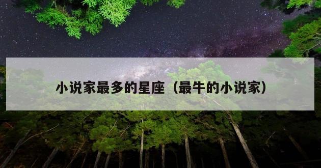 小说家最多的星座（最牛的小说家）