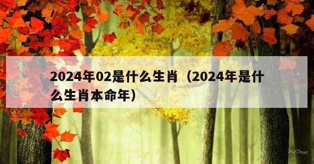 2024年02是什么生肖（2024年是什么生肖本命年）