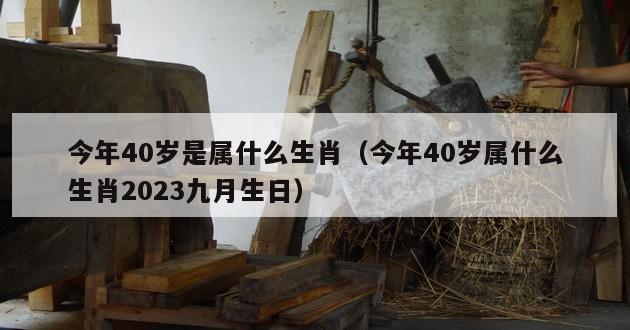 今年40岁是属什么生肖（今年40岁属什么生肖2023九月生日）