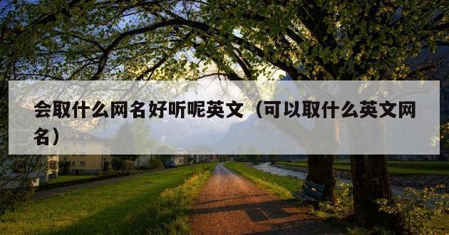 会取什么网名好听呢英文（可以取什么英文网名）