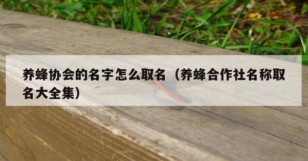 养蜂协会的名字怎么取名（养蜂合作社名称取名大全集）