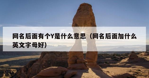 网名后面有个Y是什么意思（网名后面加什么英文字母好）