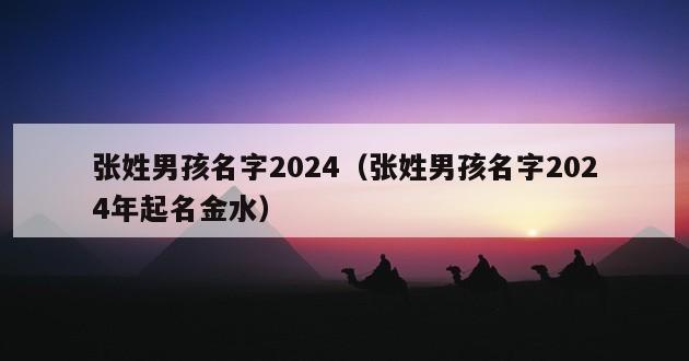 张姓男孩名字2024（张姓男孩名字2024年起名金水）